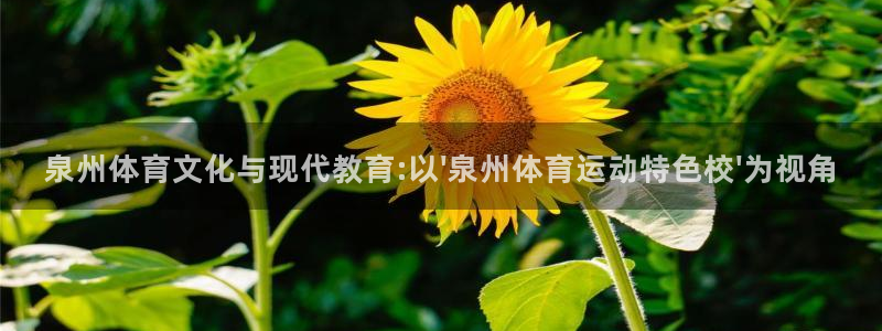 米兰体育官网入口