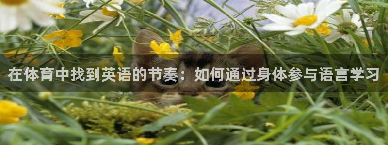 米兰体育官网入口