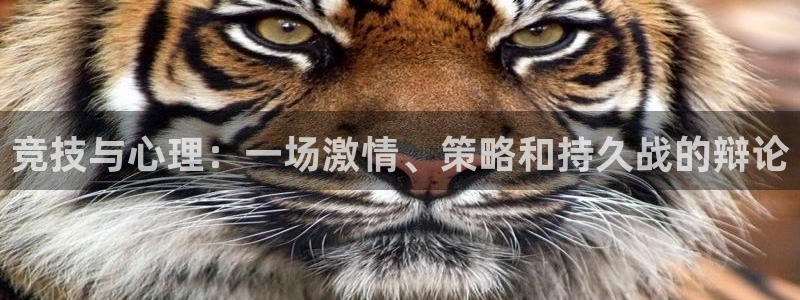 米兰体育官方下载入口