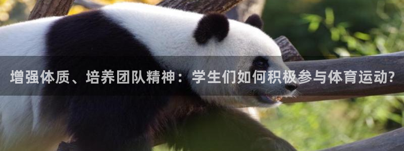 米兰体育网址