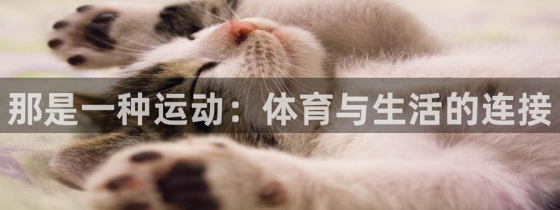 米兰体育网站