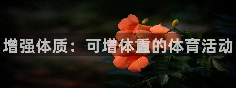 米兰体育入口