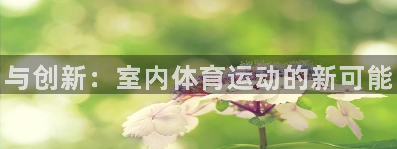 米兰体育网页版