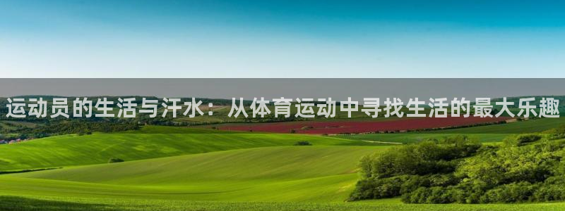 米兰体育网页版登录