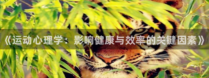 米兰体育报
