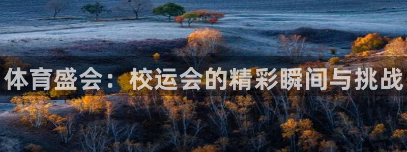 米兰体育官网入口