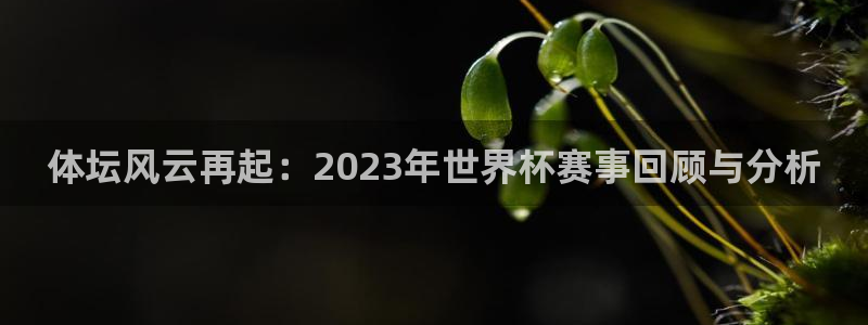 米兰体育场