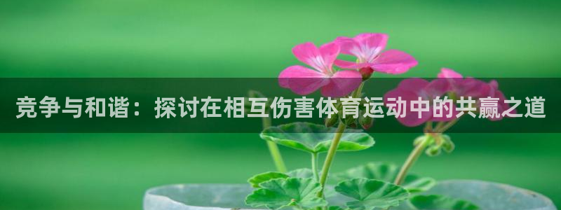 米兰体育入口