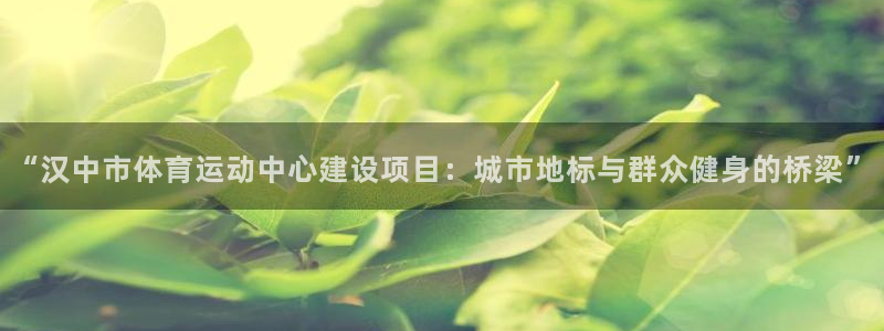 米兰体育网页版