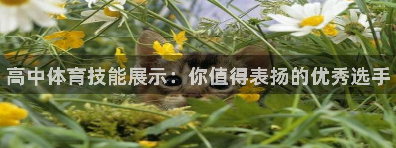 米兰体育官方下载入口