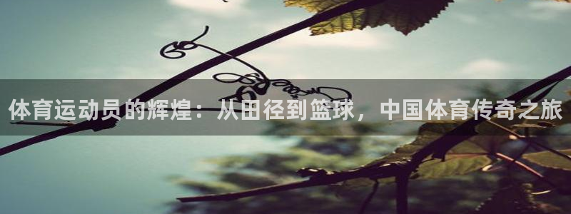 米兰体育网页版