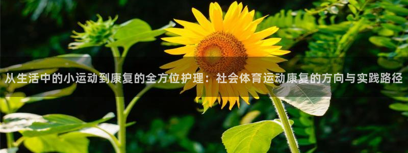 米兰体育官网